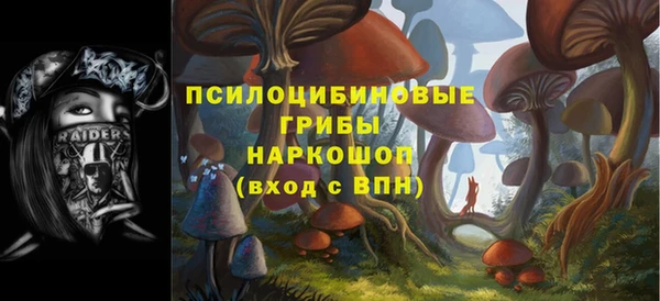 прущие грибы Алексеевка