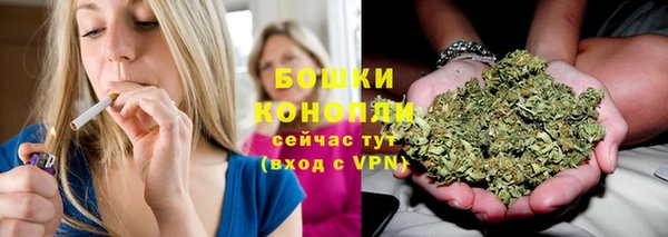 индика Абдулино