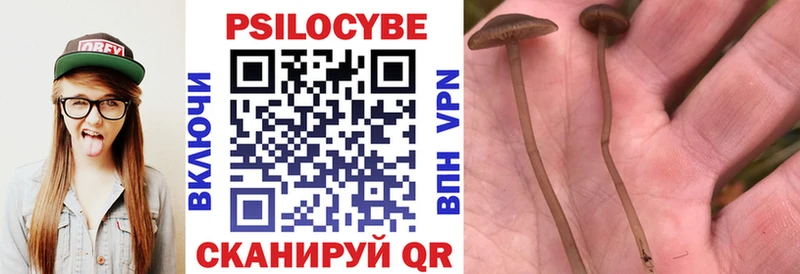 Псилоцибиновые грибы прущие грибы  Элиста 